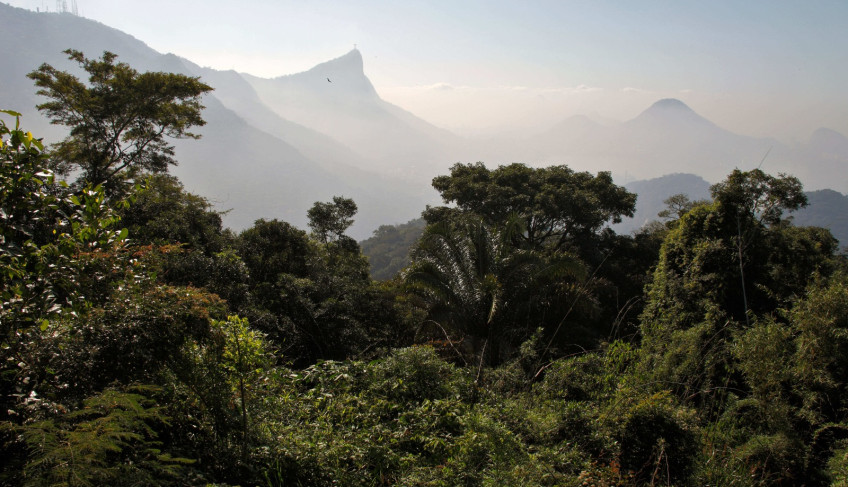 ASN Rio de Janeiro - Agência Sebrae de Notícias