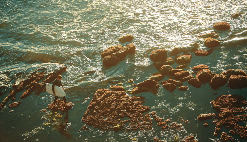 ASN Rio de Janeiro - Agência Sebrae de Notícias