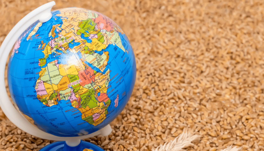 ASN Rio de Janeiro - Agência Sebrae de Notícias