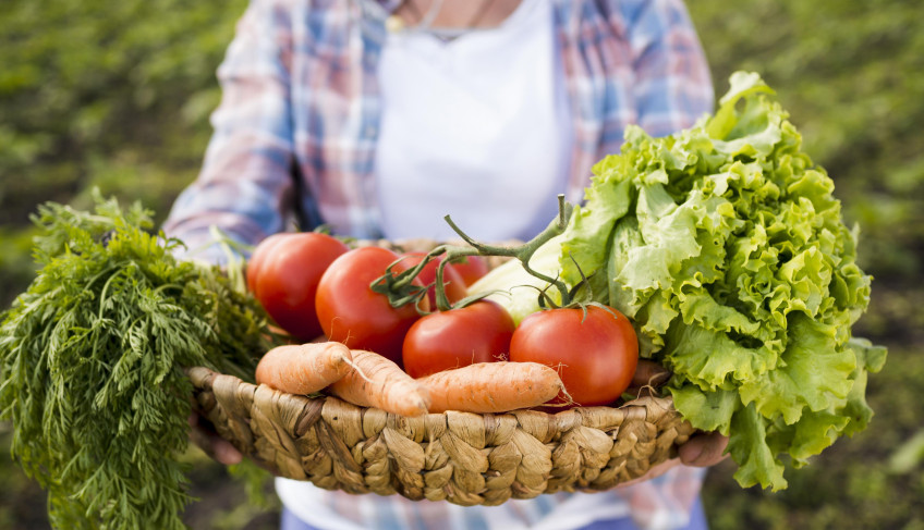 ASN Rio de Janeiro - Agência Sebrae de Notícias